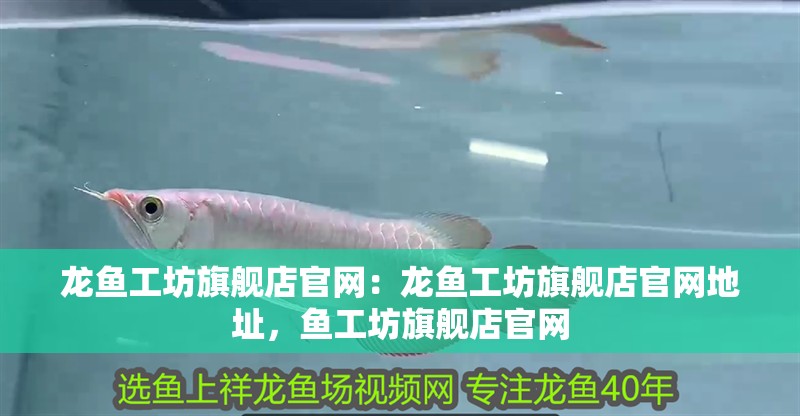 龍魚工坊旗艦店官網：龍魚工坊旗艦店官網地址，魚工坊旗艦店官網