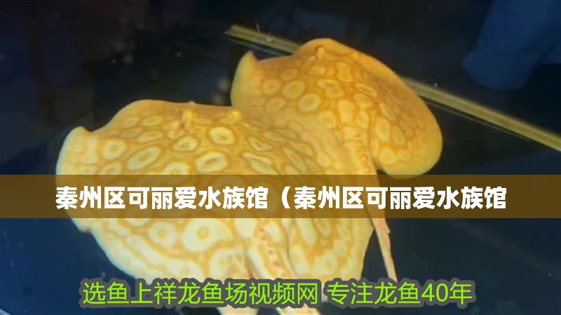 秦州區可麗愛水族館（秦州區可麗愛水族館
