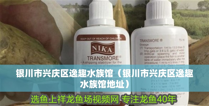 銀川市興慶區逸趣水族館（銀川市興慶區逸趣水族館地址） 銀川市興慶區逸趣水族館（銀川市興慶區逸趣水族館地址） 全國水族館企業名錄 第2張