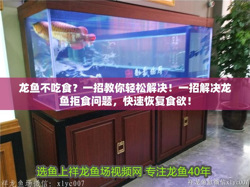 龍魚不吃食？一招教你輕松解決！一招解決龍魚拒食問題，快速恢復(fù)食欲！