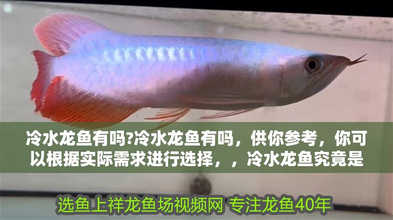 冷水龍魚有嗎?冷水龍魚有嗎，供你參考，你可以根據(jù)實際需求進行選擇，，冷水龍魚究竟是否存在？，探尋真相，冷水龍魚有沒有？，疑問聚焦，冷水龍魚到底有沒有？ 冷水龍魚有嗎?冷水龍魚有嗎，供你參考，你可以根據(jù)實際需求進行選擇，，冷水龍魚究竟是否存在？，探尋真相，冷水龍魚有沒有？，疑問聚焦，冷水龍魚到底有沒有？ 水族問答