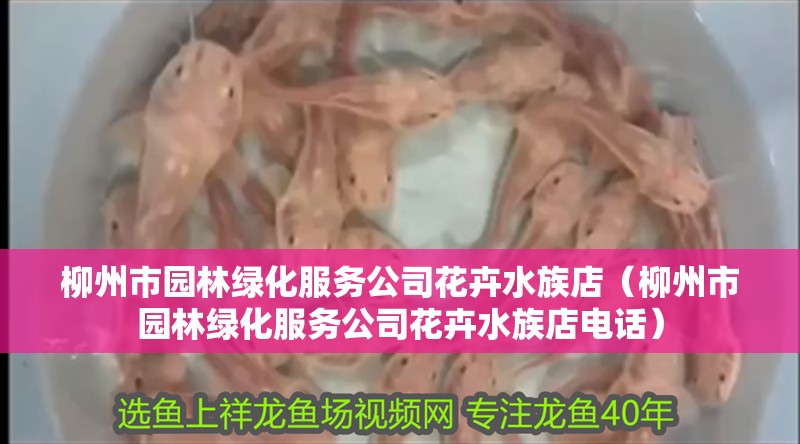 柳州市園林綠化服務公司花卉水族店（柳州市園林綠化服務公司花卉水族店電話）