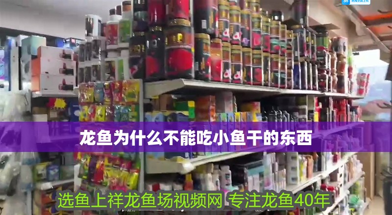 龍魚為什么不能吃小魚干的東西