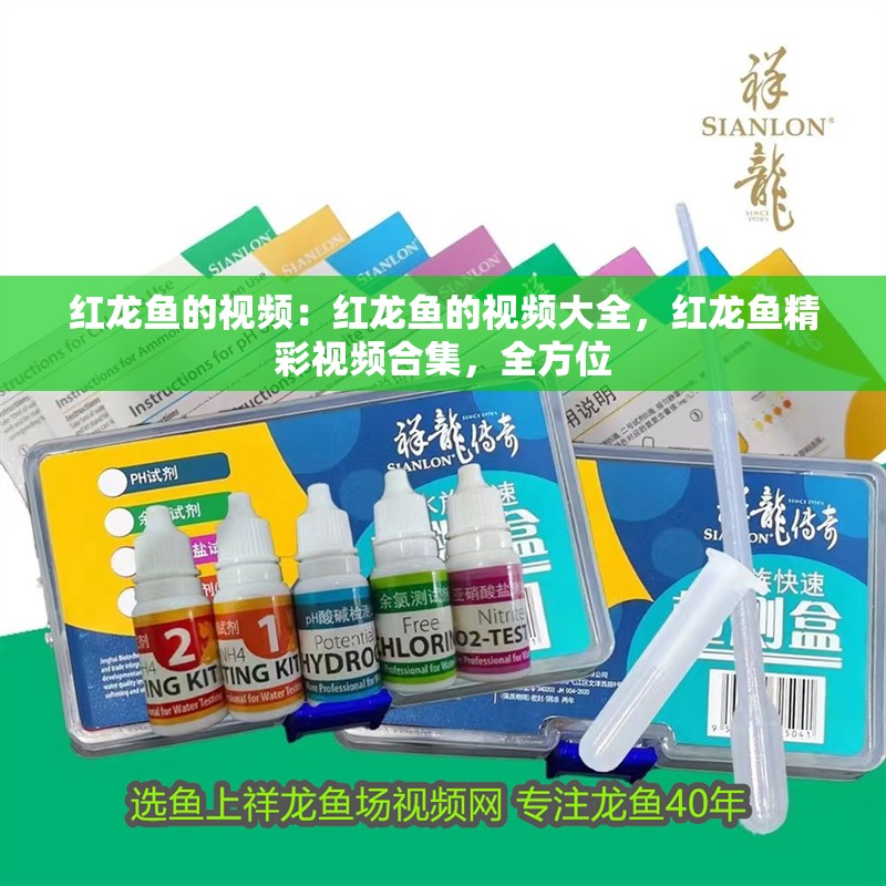 紅龍魚的視頻：紅龍魚的視頻大全，紅龍魚精彩視頻合集，全方位 紅龍魚的視頻：紅龍魚的視頻大全，紅龍魚精彩視頻合集，全方位 水族問答