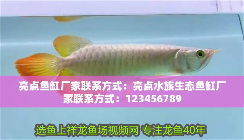 亮點魚缸廠家聯系方式：亮點水族生態魚缸廠家聯系方式：123456789 亮點魚缸廠家聯系方式：亮點水族生態魚缸廠家聯系方式：123456789 魚缸百科