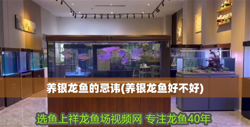 魚(yú)缸用增氧泵價(jià)格是多少:魚(yú)缸增氧機(jī)-xtrac增氧機(jī)-xtrac增氧機(jī) 養(yǎng)銀龍魚(yú)的忌諱(養(yǎng)銀龍魚(yú)好不好) 銀龍魚(yú)百科 養(yǎng)銀龍魚(yú)的忌諱(養(yǎng)銀龍魚(yú)好不好) 養(yǎng)銀龍魚(yú)的忌諱(養(yǎng)銀龍魚(yú)好不好) 銀龍魚(yú)百科