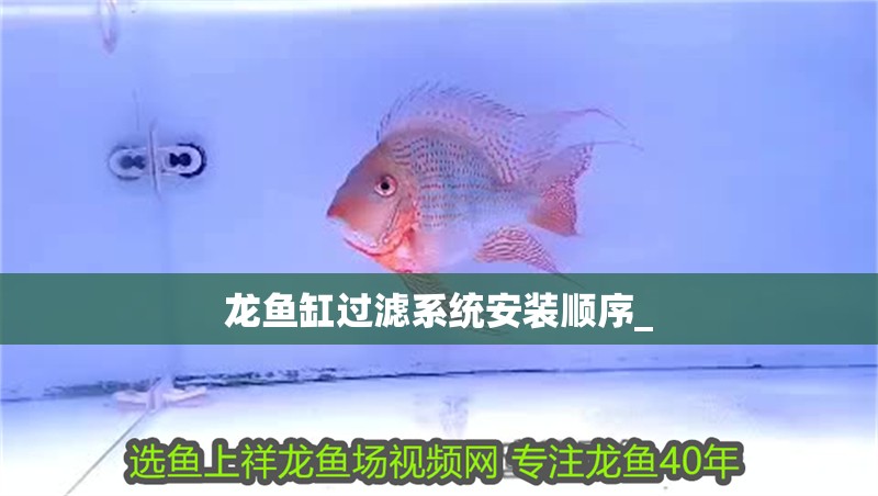 龍魚缸過濾系統(tǒng)安裝順序_ 龍魚缸過濾系統(tǒng)安裝順序_ 龍魚百科