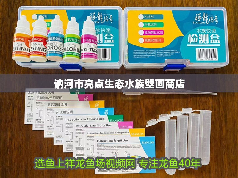 訥河市亮點生態水族壁畫商店