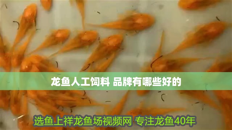 龍魚(yú)人工飼料 品牌有哪些好的