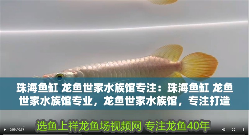 珠海魚缸 龍魚世家水族館專注：珠海魚缸 龍魚世家水族館專業(yè)，龍魚世家水族館，專注打造高品質(zhì)魚缸的專業(yè)之選 珠海魚缸 龍魚世家水族館專注：珠海魚缸 龍魚世家水族館專業(yè)，龍魚世家水族館，專注打造高品質(zhì)魚缸的專業(yè)之選 水族問答