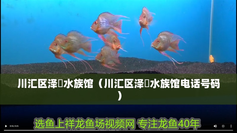 川匯區(qū)澤玥水族館（川匯區(qū)澤玥水族館電話號碼）