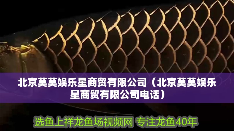 北京莫莫娛樂(lè)星商貿(mào)有限公司（北京莫莫娛樂(lè)星商貿(mào)有限公司電話）