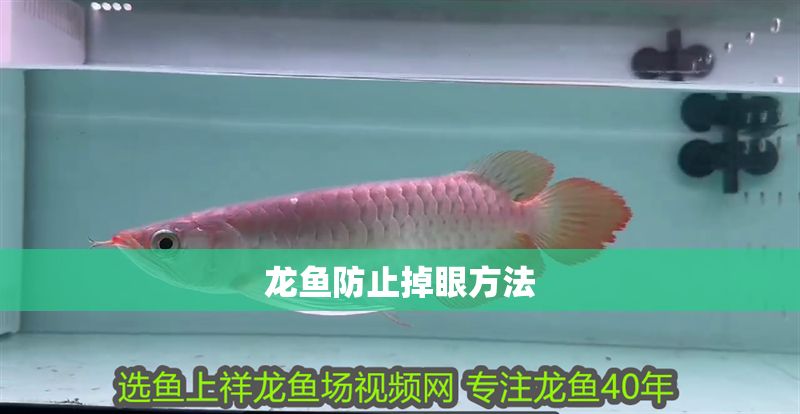 龍魚防止掉眼方法