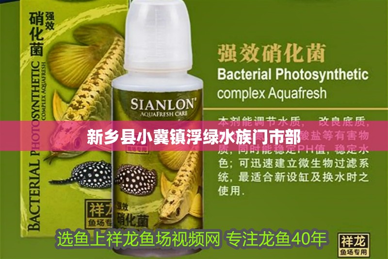 新鄉縣小冀鎮浮綠水族門市部
