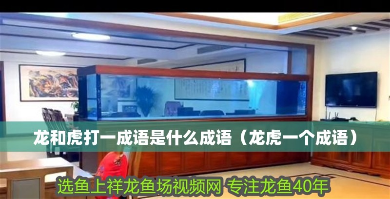 龍和虎打一成語(yǔ)是什么成語(yǔ)（龍虎一個(gè)成語(yǔ)）