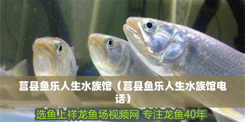 莒縣魚樂人生水族館（莒縣魚樂人生水族館電話）