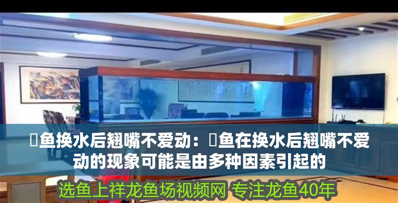 魟魚換水后翹嘴不愛動：魟魚在換水后翹嘴不愛動的現象可能是由多種因素引起的