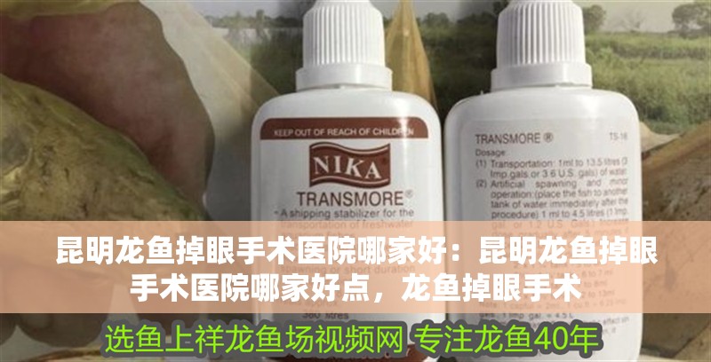 昆明龍魚掉眼手術醫(yī)院哪家好：昆明龍魚掉眼手術醫(yī)院哪家好點，龍魚掉眼手術