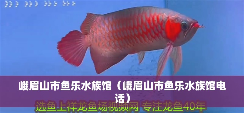 峨眉山市魚樂水族館（峨眉山市魚樂水族館電話）