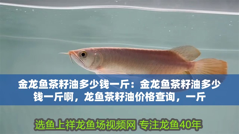 金龍魚茶籽油多少錢一斤：金龍魚茶籽油多少錢一斤啊，龍魚茶籽油價格查詢，一斤 金龍魚茶籽油多少錢一斤：金龍魚茶籽油多少錢一斤啊，龍魚茶籽油價格查詢，一斤 水族問答