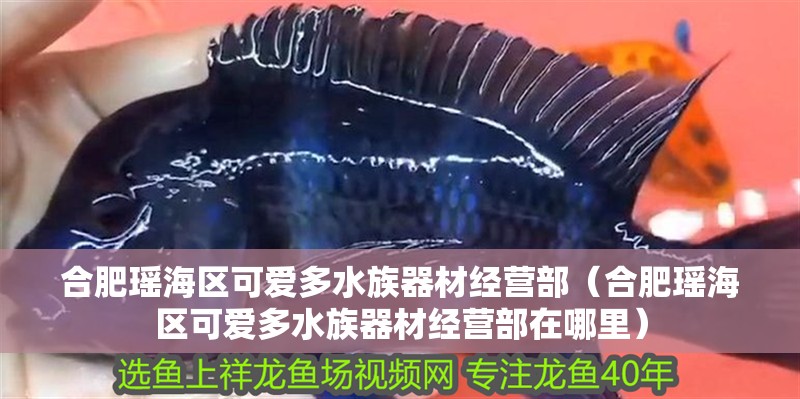 合肥瑤海區(qū)可愛多水族器材經(jīng)營部（合肥瑤海區(qū)可愛多水族器材經(jīng)營部在哪里）