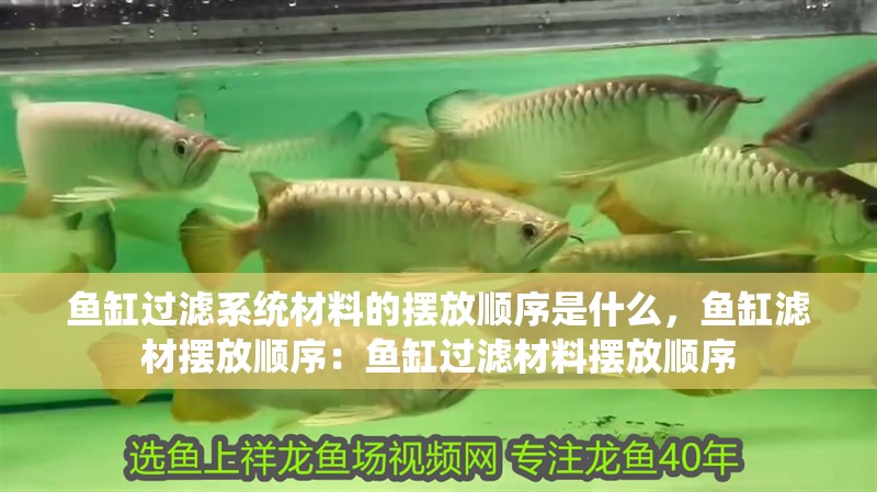 我的虎魚真菌感染了要怎么處理 魚缸過濾系統材料的擺放順序是什么,魚缸濾材擺放順序:魚缸過濾材料擺放順序 魚缸百科 魚缸過濾系統材料的擺放順序是什么,魚缸濾材擺放順序:魚缸過濾材料擺放順序 魚缸過濾系統材料的擺放順序是什么,魚缸濾材擺放順序:魚缸過濾材料擺放順序 魚缸百科