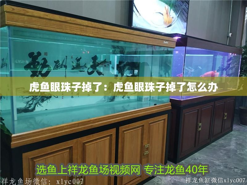 虎魚眼珠子掉了：虎魚眼珠子掉了怎么辦