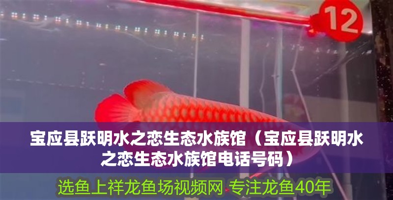 寶應(yīng)縣躍明水之戀生態(tài)水族館（寶應(yīng)縣躍明水之戀生態(tài)水族館電話號(hào)碼） 寶應(yīng)縣躍明水之戀生態(tài)水族館（寶應(yīng)縣躍明水之戀生態(tài)水族館電話號(hào)碼） 全國(guó)水族館企業(yè)名錄 第2張