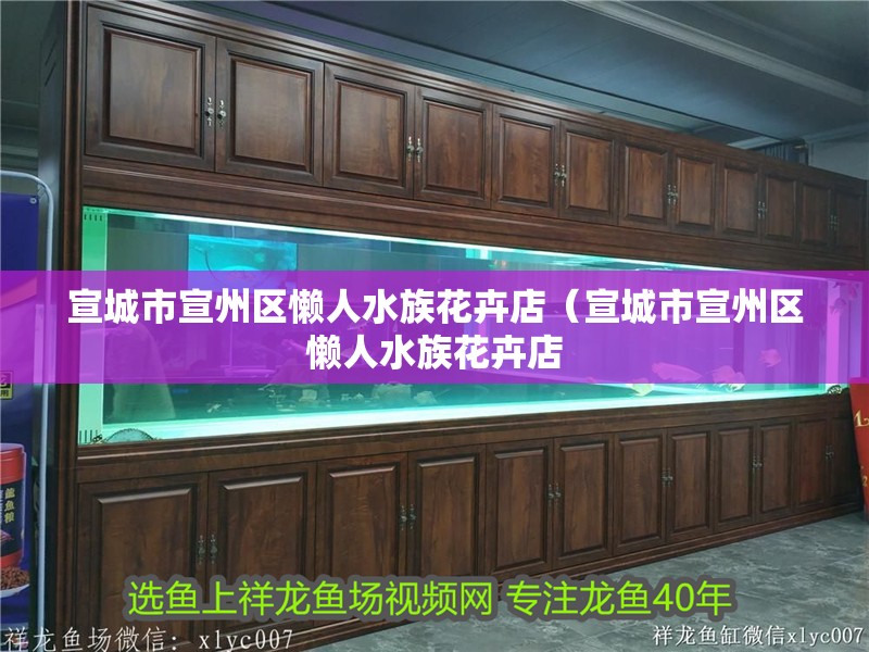 宣城市宣州區懶人水族花卉店（宣城市宣州區懶人水族花卉店