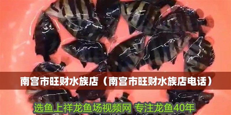 南宮市旺財水族店（南宮市旺財水族店電話）
