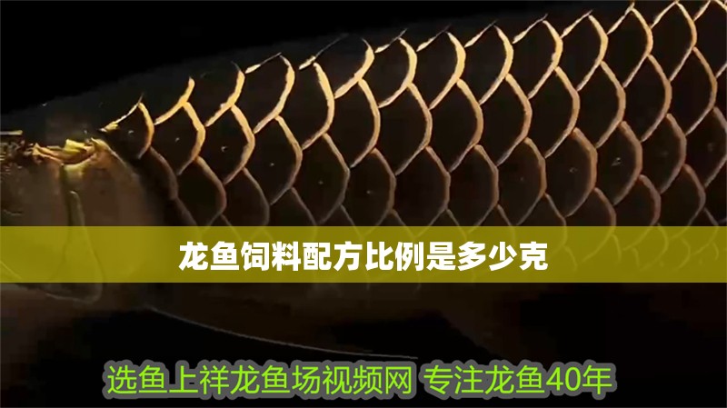 龍魚飼料配方比例是多少克 龍魚百科 第2張 龍魚飼料配方比例是多少克 龍魚飼料配方比例是多少克 龍魚百科 第2張