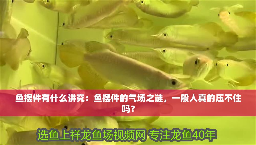 魚擺件有什么講究：魚擺件的氣場之謎，一般人真的壓不住嗎？