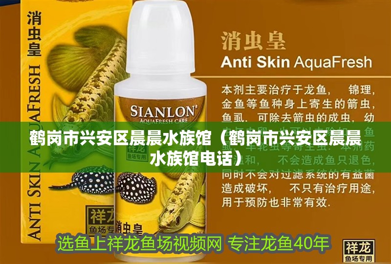 鶴崗市興安區晨晨水族館（鶴崗市興安區晨晨水族館電話）