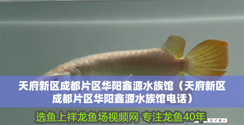 天府新區(qū)成都片區(qū)華陽鑫源水族館（天府新區(qū)成都片區(qū)華陽鑫源水族館電話）