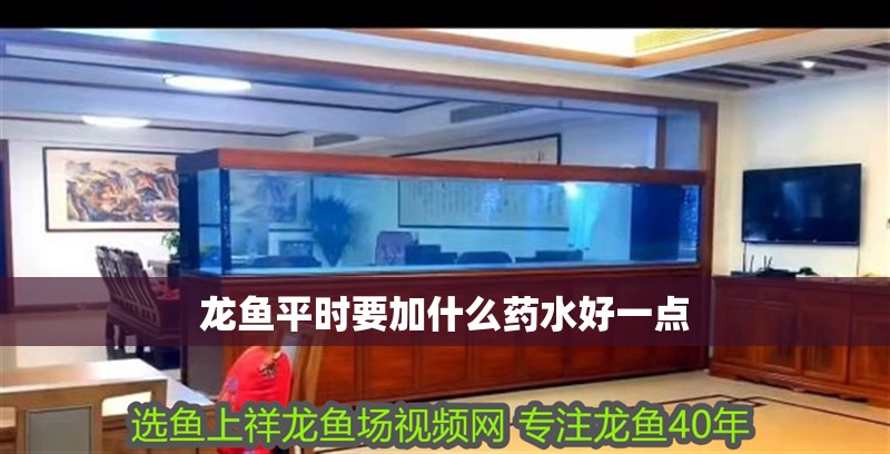 龍魚平時(shí)要加什么藥水好一點(diǎn) 龍魚平時(shí)要加什么藥水好一點(diǎn) 龍魚百科 第2張