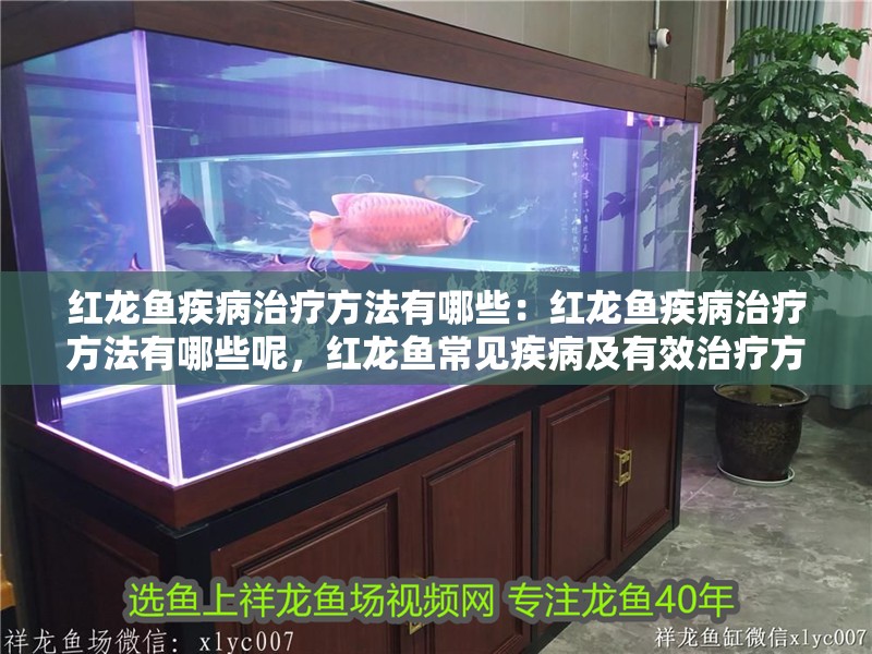 紅龍魚疾病治療方法有哪些：紅龍魚疾病治療方法有哪些呢，紅龍魚常見疾病及有效治療方法全