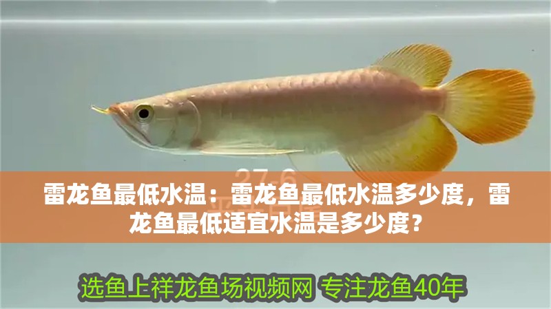 雷龍魚最低水溫：雷龍魚最低水溫多少度，雷龍魚最低適宜水溫是多少度？