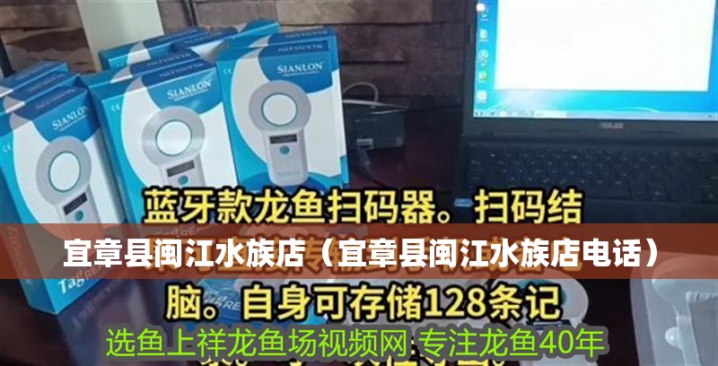 宜章縣閩江水族店（宜章縣閩江水族店電話）