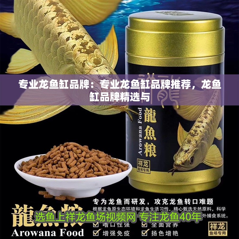 專業龍魚缸品牌：專業龍魚缸品牌推薦，龍魚缸品牌精選與 專業龍魚缸品牌：專業龍魚缸品牌推薦，龍魚缸品牌精選與 水族問答
