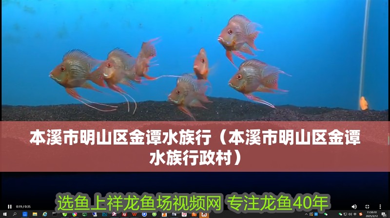 本溪市明山區(qū)金譚水族行（本溪市明山區(qū)金譚水族行政村）
