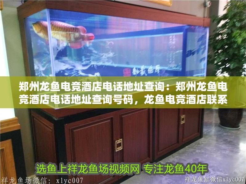 鄭州龍魚電競酒店電話地址查詢：鄭州龍魚電競酒店電話地址查詢號碼，龍魚電競酒店聯系方式