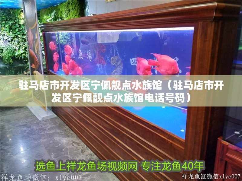 駐馬店市開發區寧佩靚點水族館（駐馬店市開發區寧佩靚點水族館電話號碼）