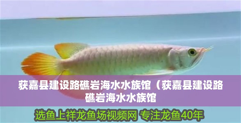 獲嘉縣建設路礁巖海水水族館（獲嘉縣建設路礁巖海水水族館