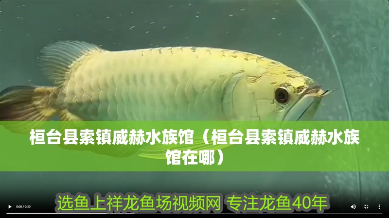 桓臺(tái)縣索鎮(zhèn)威赫水族館（桓臺(tái)縣索鎮(zhèn)威赫水族館在哪）