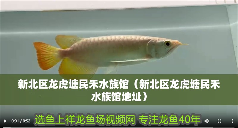 新北區(qū)龍虎塘民禾水族館（新北區(qū)龍虎塘民禾水族館地址）