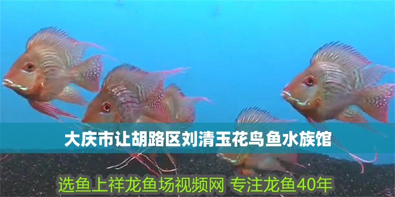 大慶市讓胡路區(qū)劉清玉花鳥(niǎo)魚(yú)水族館 大慶市讓胡路區(qū)劉清玉花鳥(niǎo)魚(yú)水族館 全國(guó)水族館企業(yè)名錄 第2張