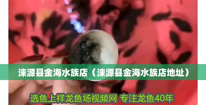 淶源縣金海水族店（淶源縣金海水族店地址）