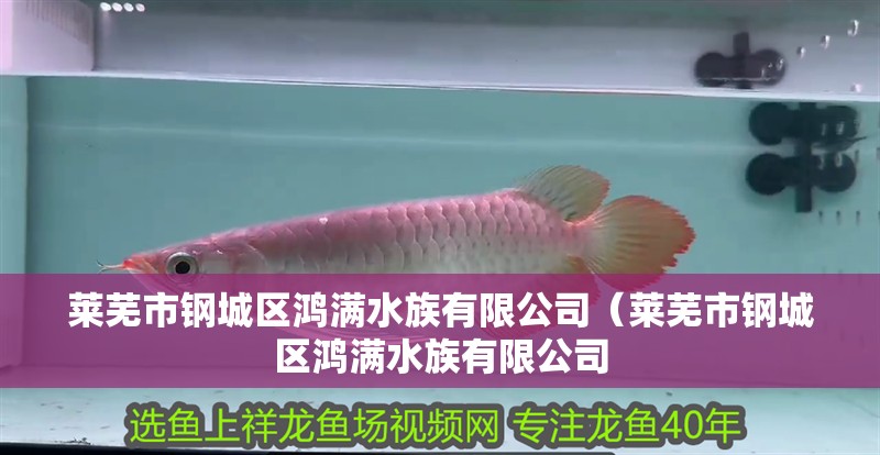 萊蕪市鋼城區鴻滿水族有限公司（萊蕪市鋼城區鴻滿水族有限公司
