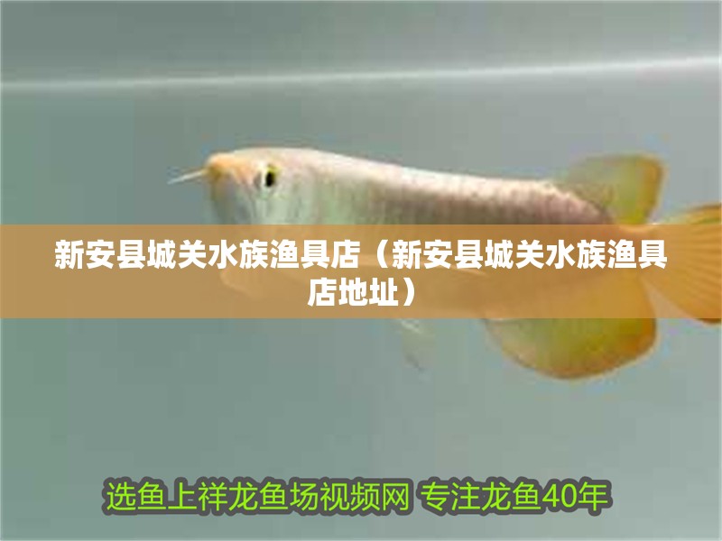 新安縣城關(guān)水族漁具店（新安縣城關(guān)水族漁具店地址）