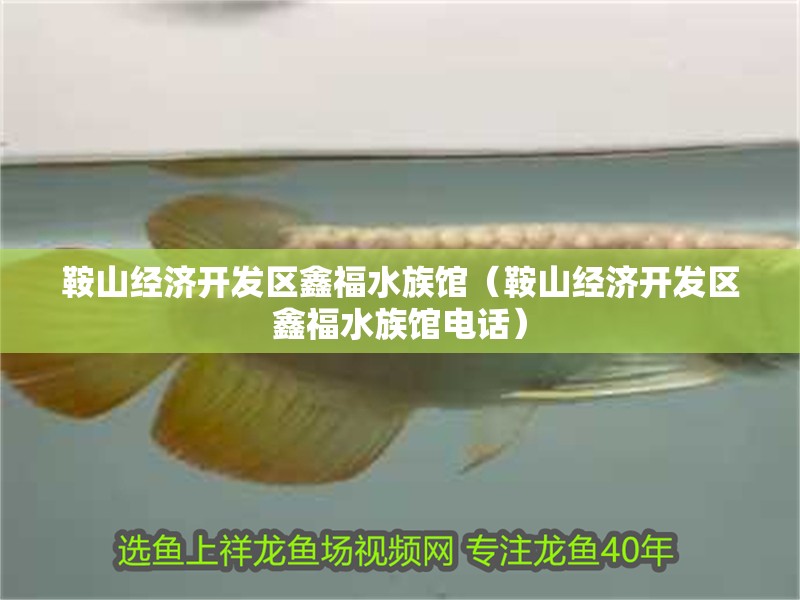 鞍山經濟開發(fā)區(qū)鑫福水族館(鞍山經濟開發(fā)區(qū)鑫福水族館電話) 全國水族館企業(yè)名錄 第2張 鞍山經濟開發(fā)區(qū)鑫福水族館(鞍山經濟開發(fā)區(qū)鑫福水族館電話) 鞍山經濟開發(fā)區(qū)鑫福水族館(鞍山經濟開發(fā)區(qū)鑫福水族館電話) 全國水族館企業(yè)名錄 第2張